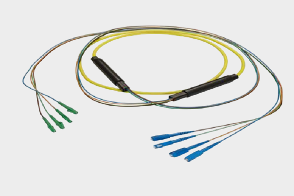 1760776602345691.png Pasternack (8).png