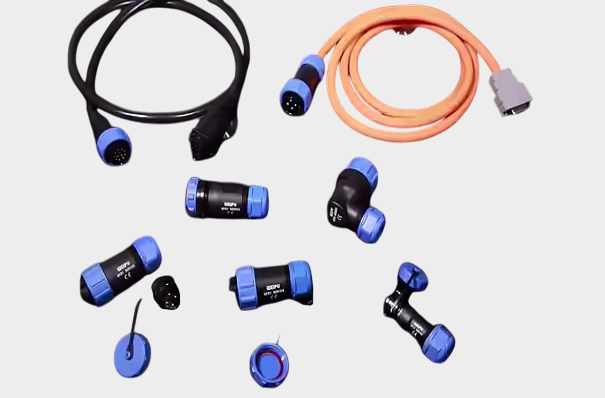 SP International (8).png