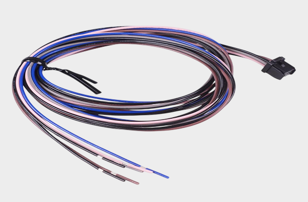 1767776498165383.png IDEC (5).png