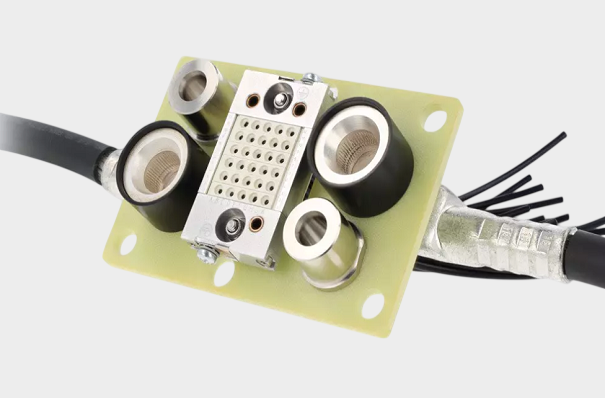 1768187269533189.png ODU (6).png