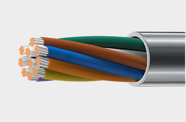 1770619422555948.png Belden Inc (6).png