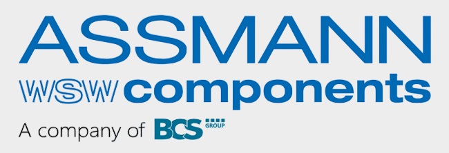 Assmann WSW Logo-95.jpg